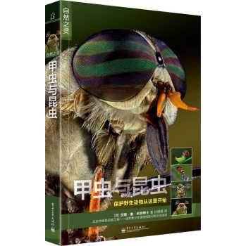 自然之灵 甲虫与昆虫 下载