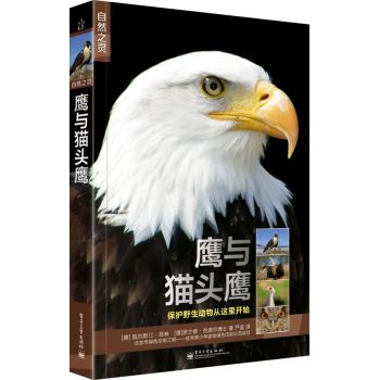 自然之灵 鹰与猫头鹰 下载
