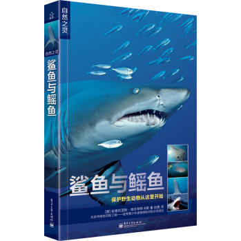 自然之灵 鲨鱼与鳐鱼 下载