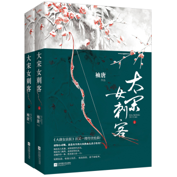 大宋女刺客 下载