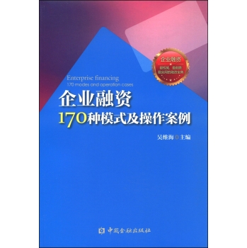 企业融资170种模式与操作案例 下载
