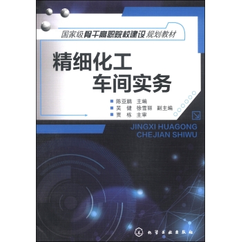 精细化工车间实务/国家级骨干高职院校建设规划教材 下载