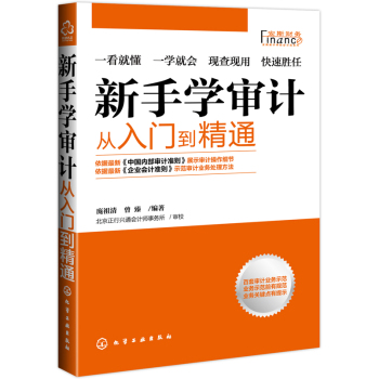 新手学审计――从入门到精通 下载