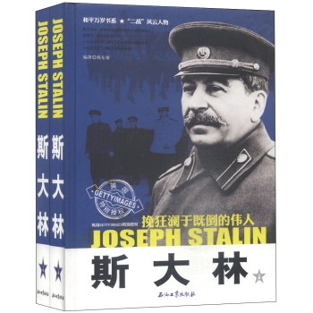 斯大林：挽狂澜于既倒的伟人 下载
