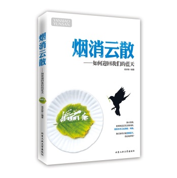 烟消云散：如何迎回我们的蓝天 下载
