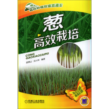 葱高效栽培 下载