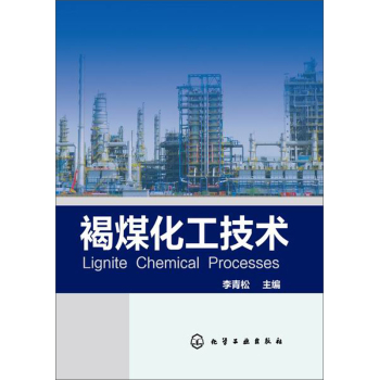 褐煤化工技术 下载