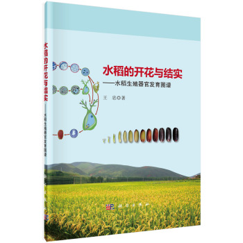 水稻的开花与结实：水稻生殖器官发育图谱 下载