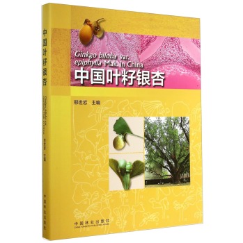 中国叶籽银杏 下载