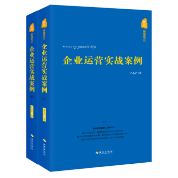忙总管理笔记：企业运营实战案例 下载