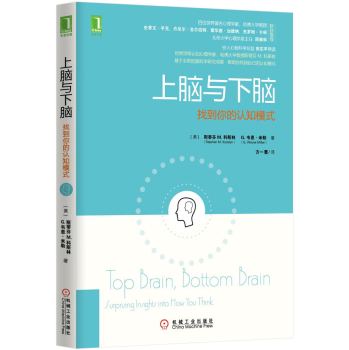 上脑与下脑：找到你的认知模式‍ 下载