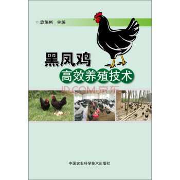 黑凤鸡高效养殖技术 下载