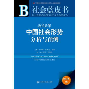 社会蓝皮书：2015年中国社会形势分析与预测 下载