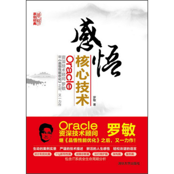 感悟Oracle核心技术 下载