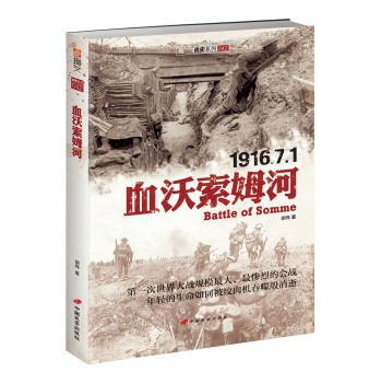 血沃索姆河 下载