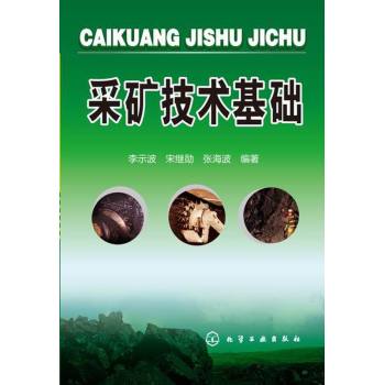 采矿技术基础 下载