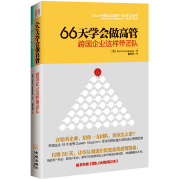 66天学会做高管：跨国企业这样带团队 下载