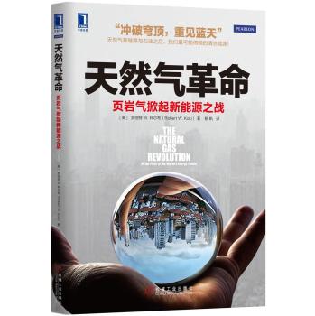 天然气革命：页岩气掀起新能源之战 下载