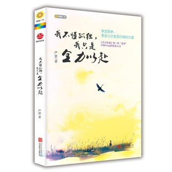 我不懂孤独，我只是全力以赴 下载