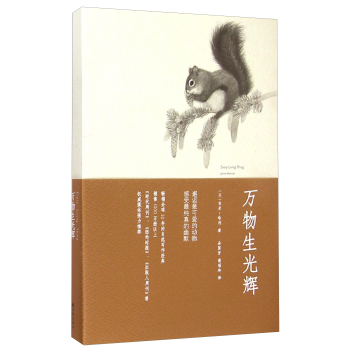 万物生光辉 下载