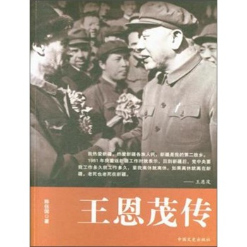 王恩茂传 下载