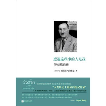 遭遇这些事的人是我：茨威格自传 下载