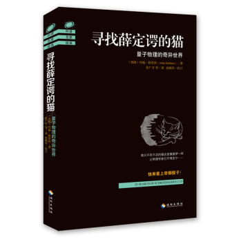 寻找薛定谔的猫：量子物理的奇异世界 下载