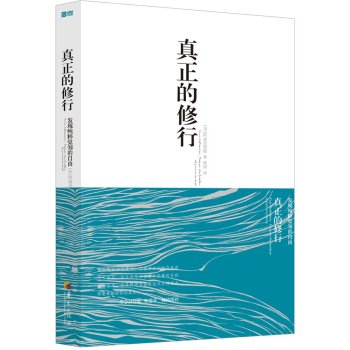 真正的修行：发现纯粹觉知的自由 下载