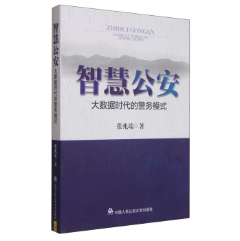 智慧公安：大数据时代的警务模式 下载