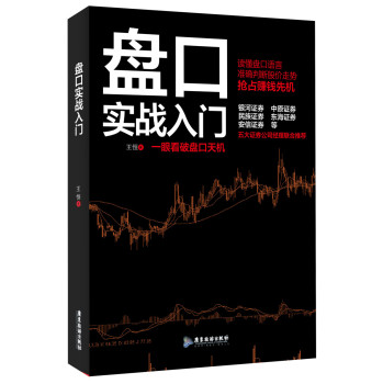 盘口实战入门/股票入门 下载