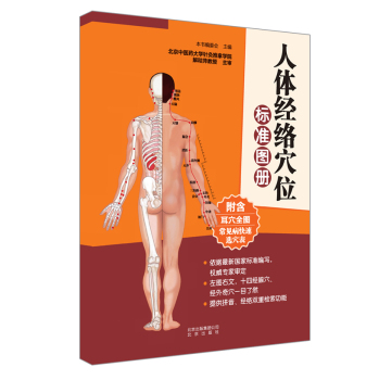 人体经络穴位标准图册 下载
