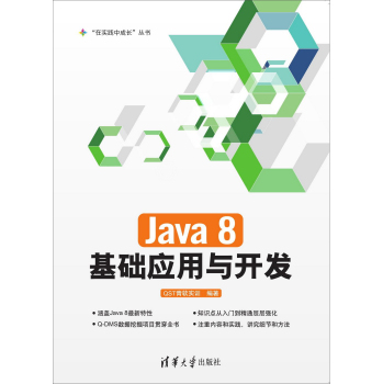 Java 8基础应用与开发 下载