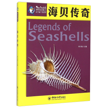 海贝传奇 下载