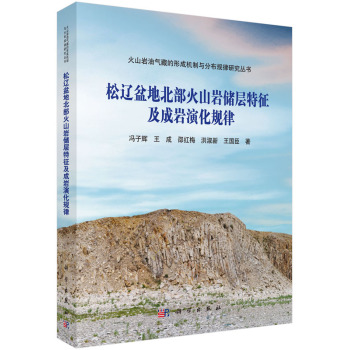松辽盆地北部火山岩储层特征及成岩演化规律 下载