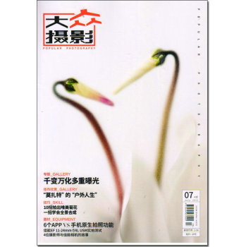 大众摄影2015年7A月号 下载