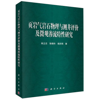 页岩气岩石物理与测井评价及微观渗流特性研究 下载