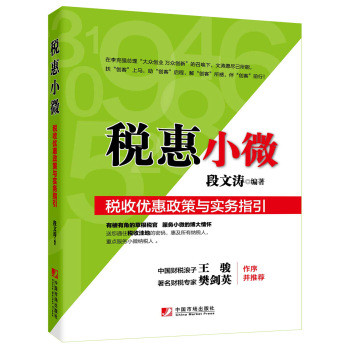 税惠小微：税收优惠政策与实务指引 下载