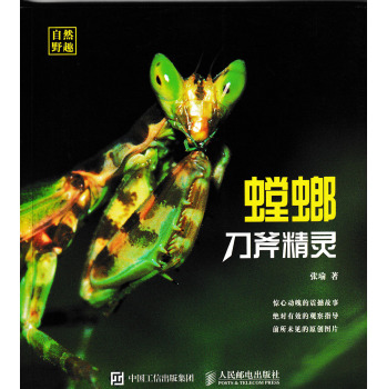 刀斧精灵 螳螂 下载