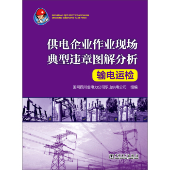 供电企业作业现场典型违章图解分析 输电运检 下载