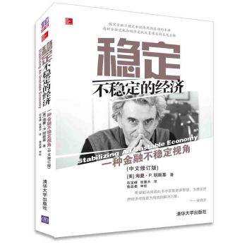 稳定不稳定的经济：一种金融不稳定视角 下载