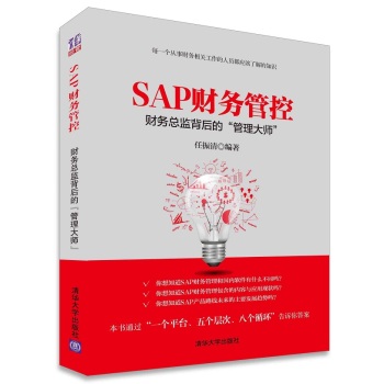SAP财务管控：财务总监背后的“管理大师” 下载